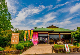 清洲城の見どころ6