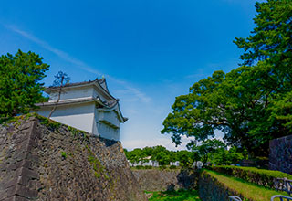 名古屋城の見どころ8