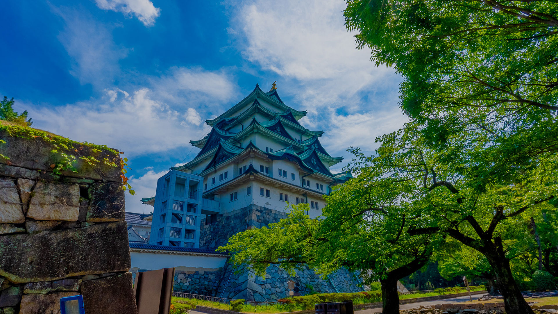 夏の名古屋城11