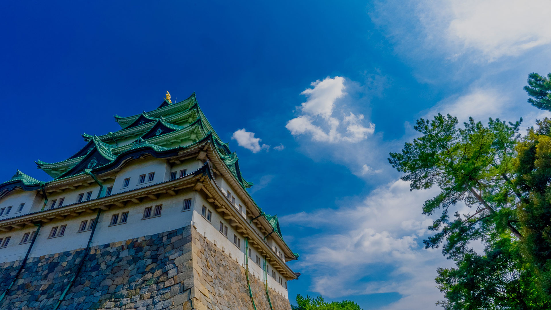 夏の名古屋城12