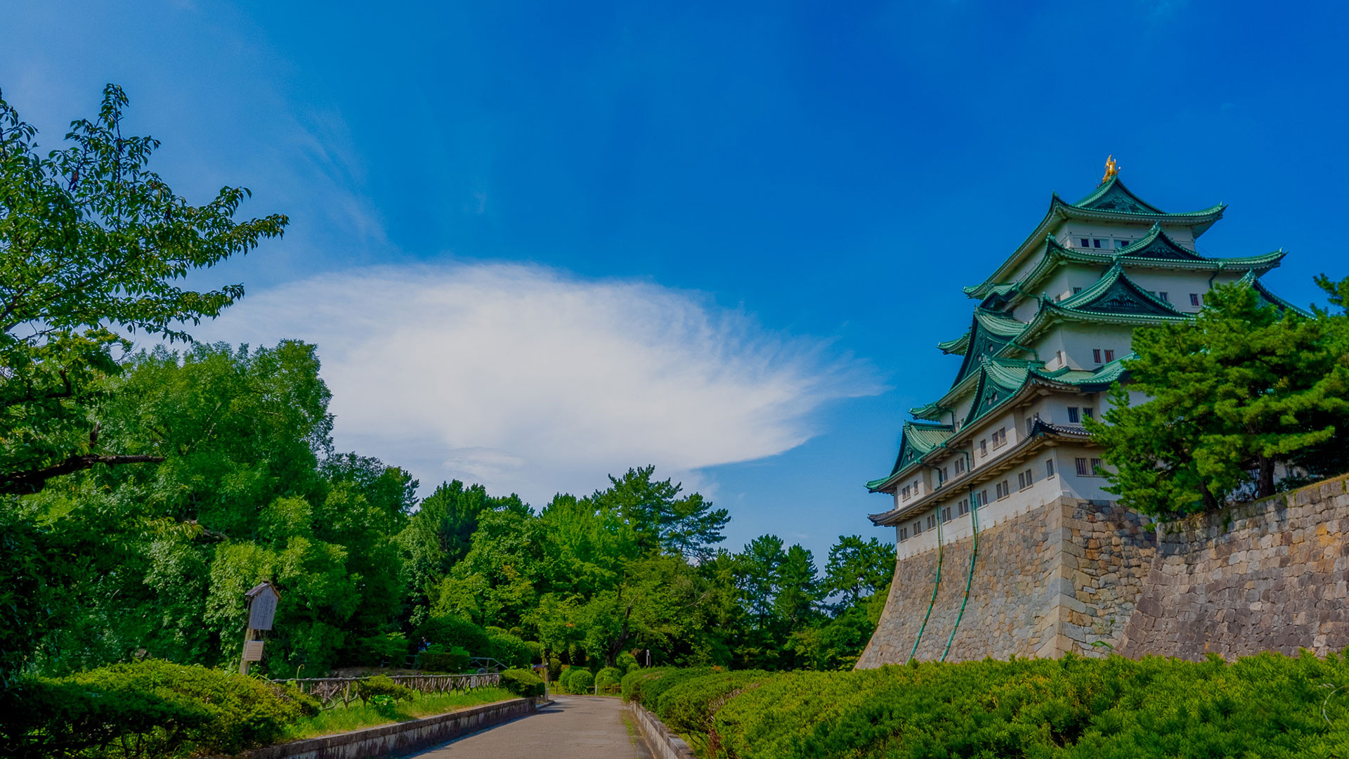 夏の名古屋城13
