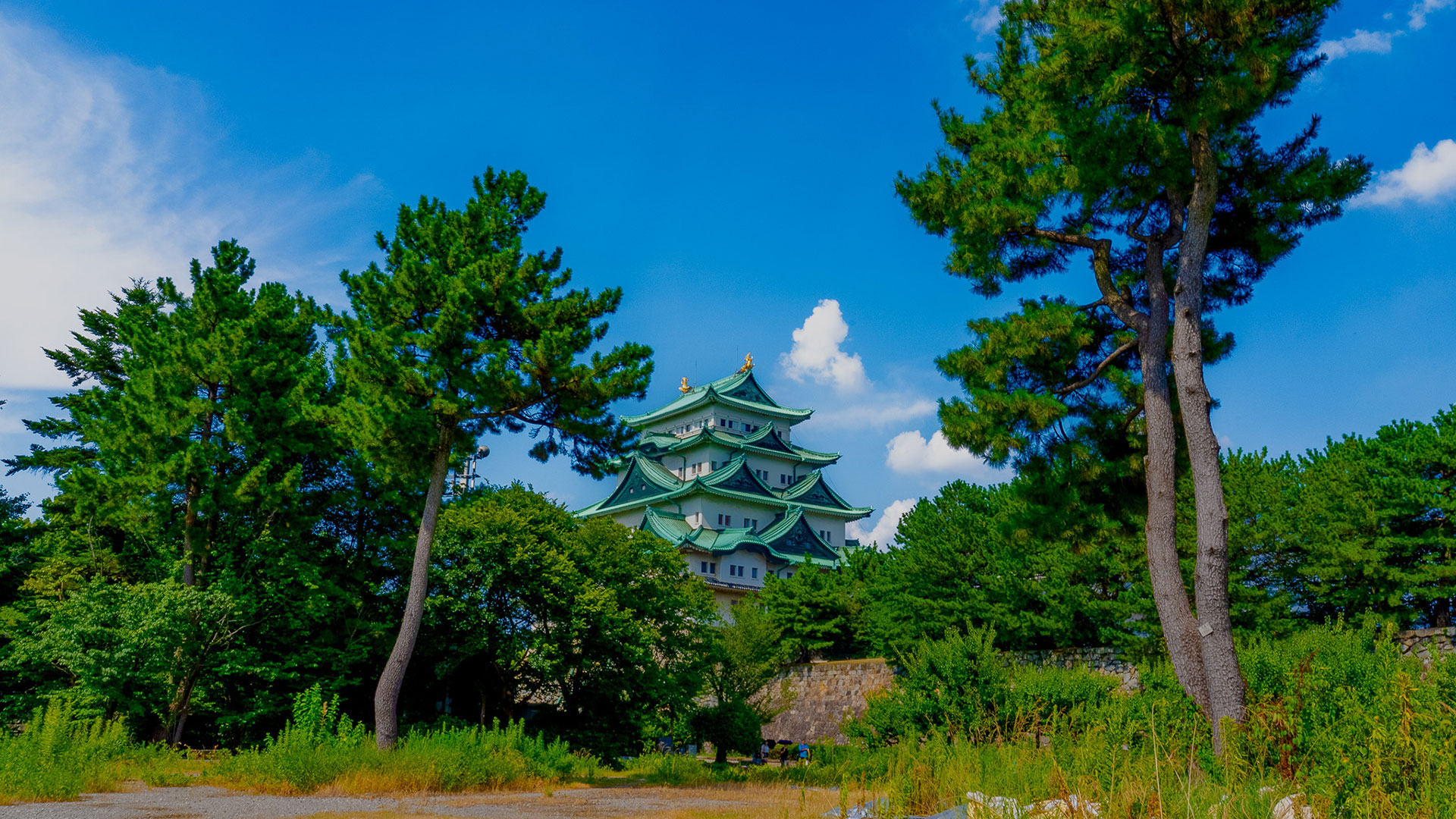 夏の名古屋城14