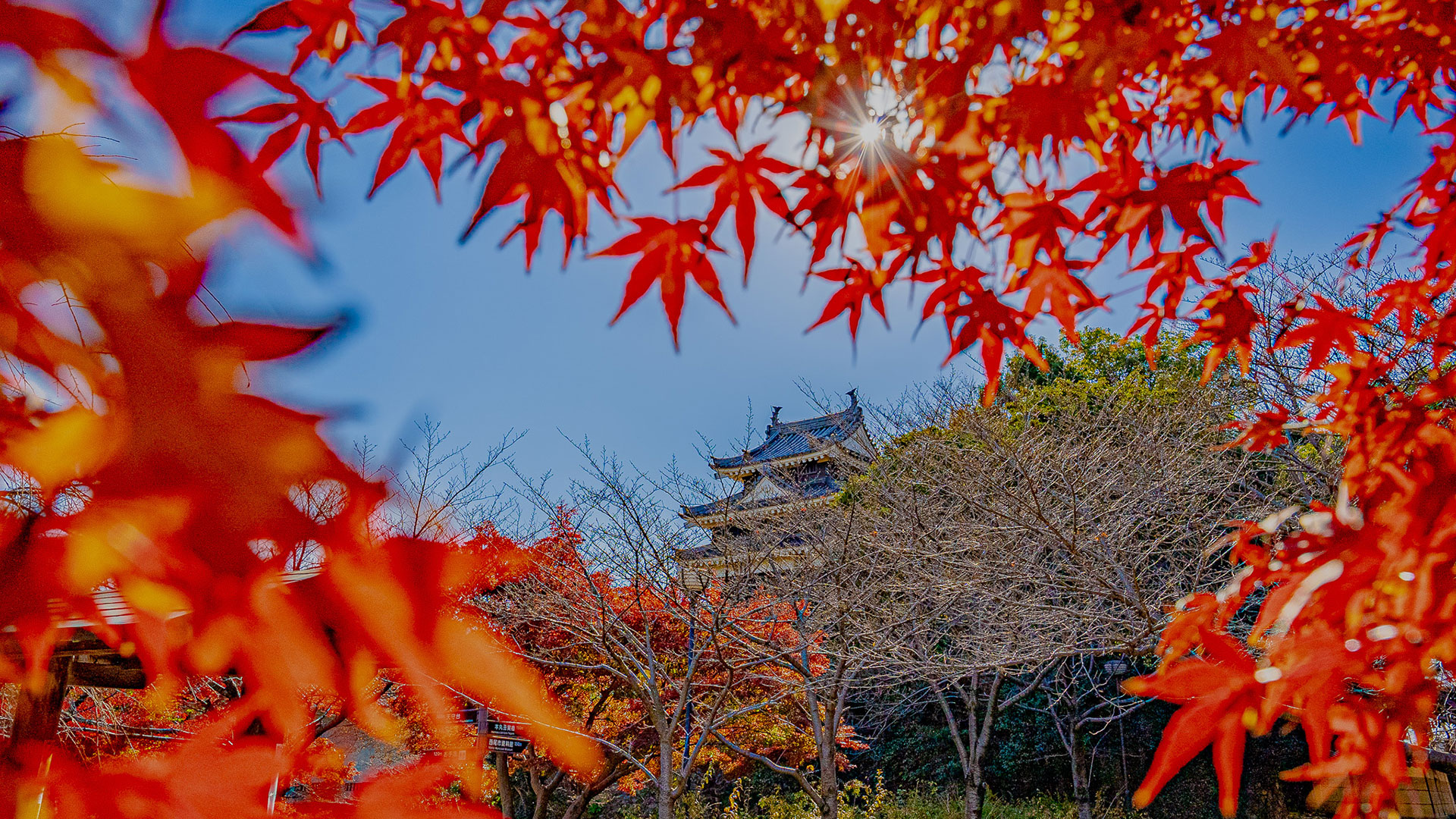 西尾城
