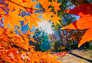 岡崎城の見どころ3