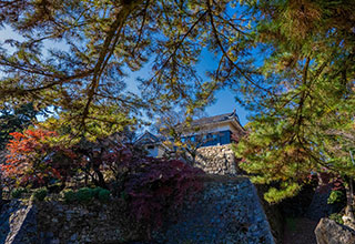 岡崎城の見どころ4