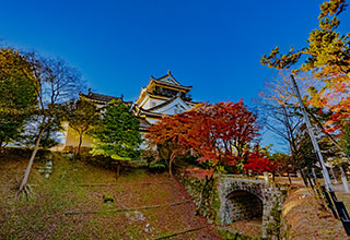 岡崎城の見どころ5