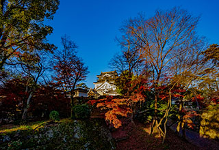 岡崎城の見どころ6