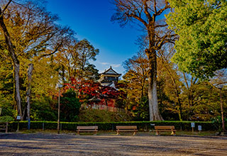 岡崎城の見どころ11