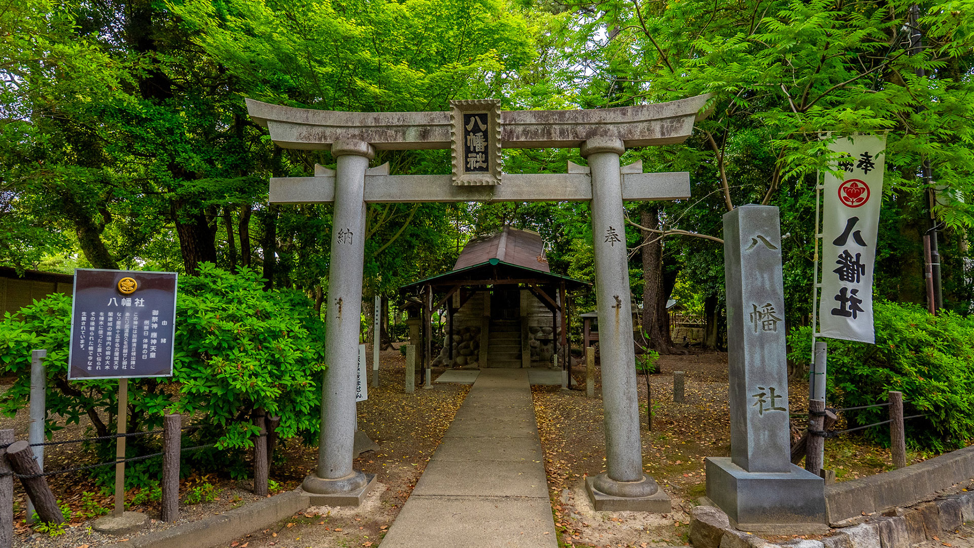夏の豊国神社6
