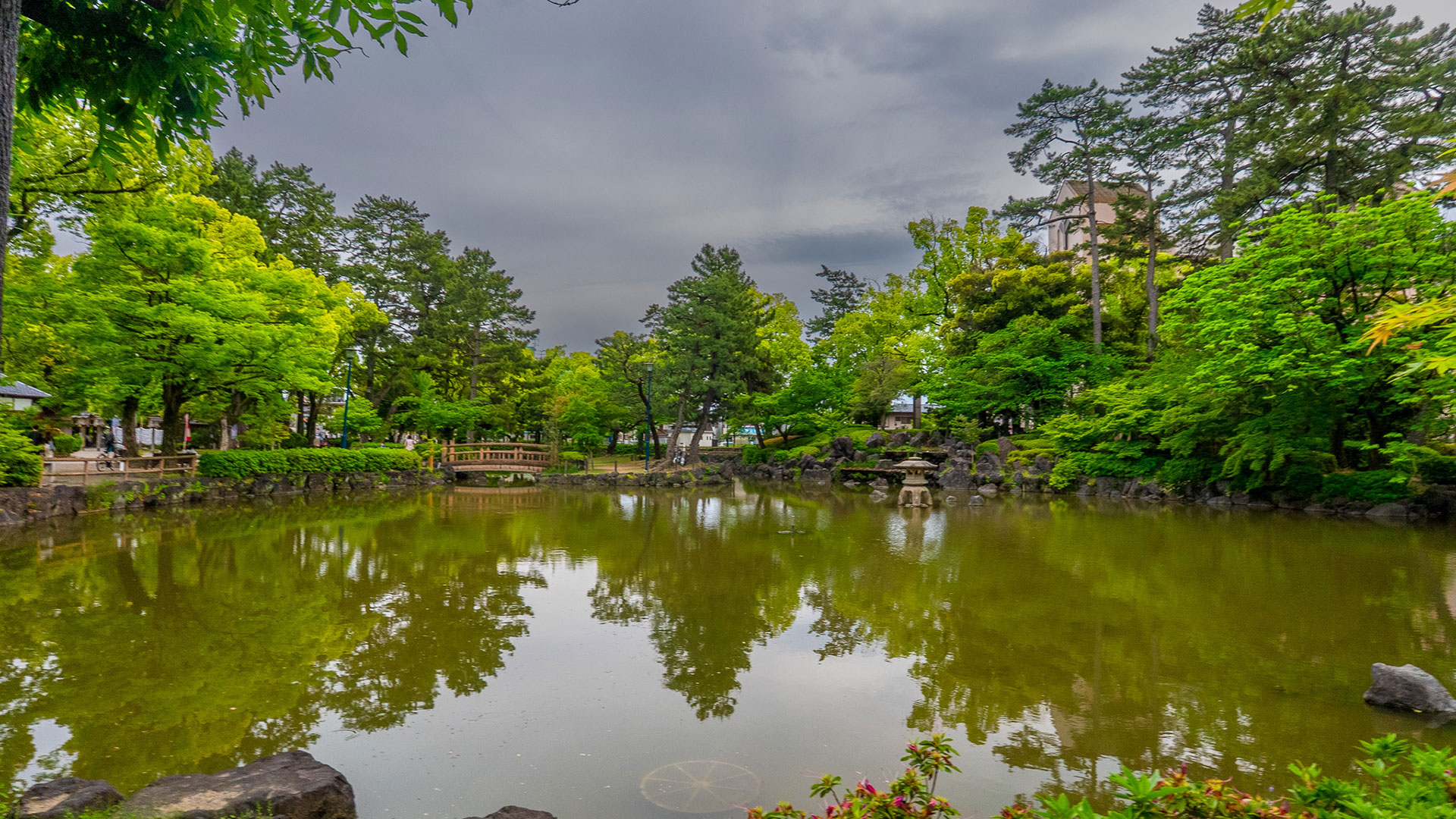 夏の豊国神社7