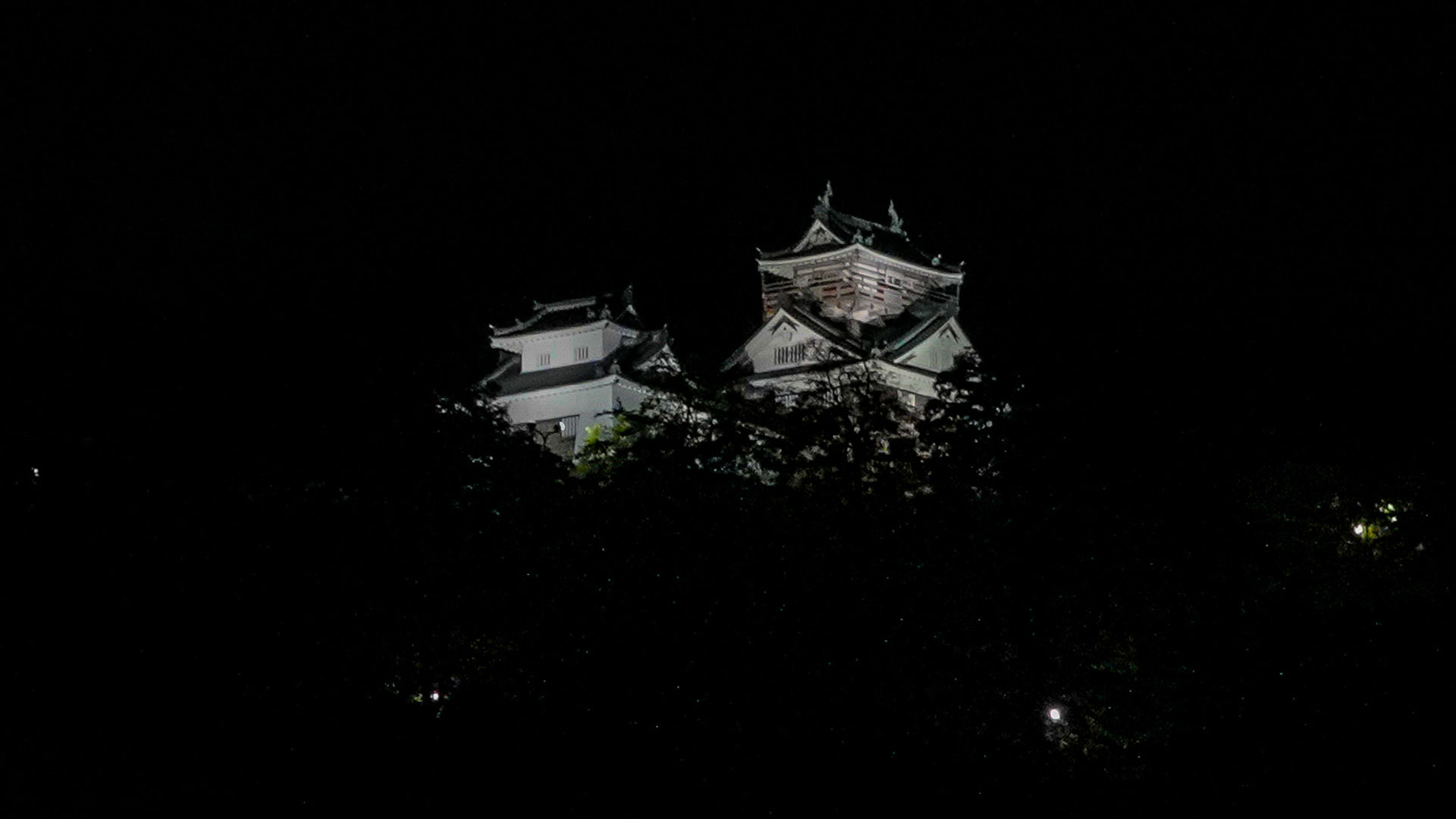 越前大野城