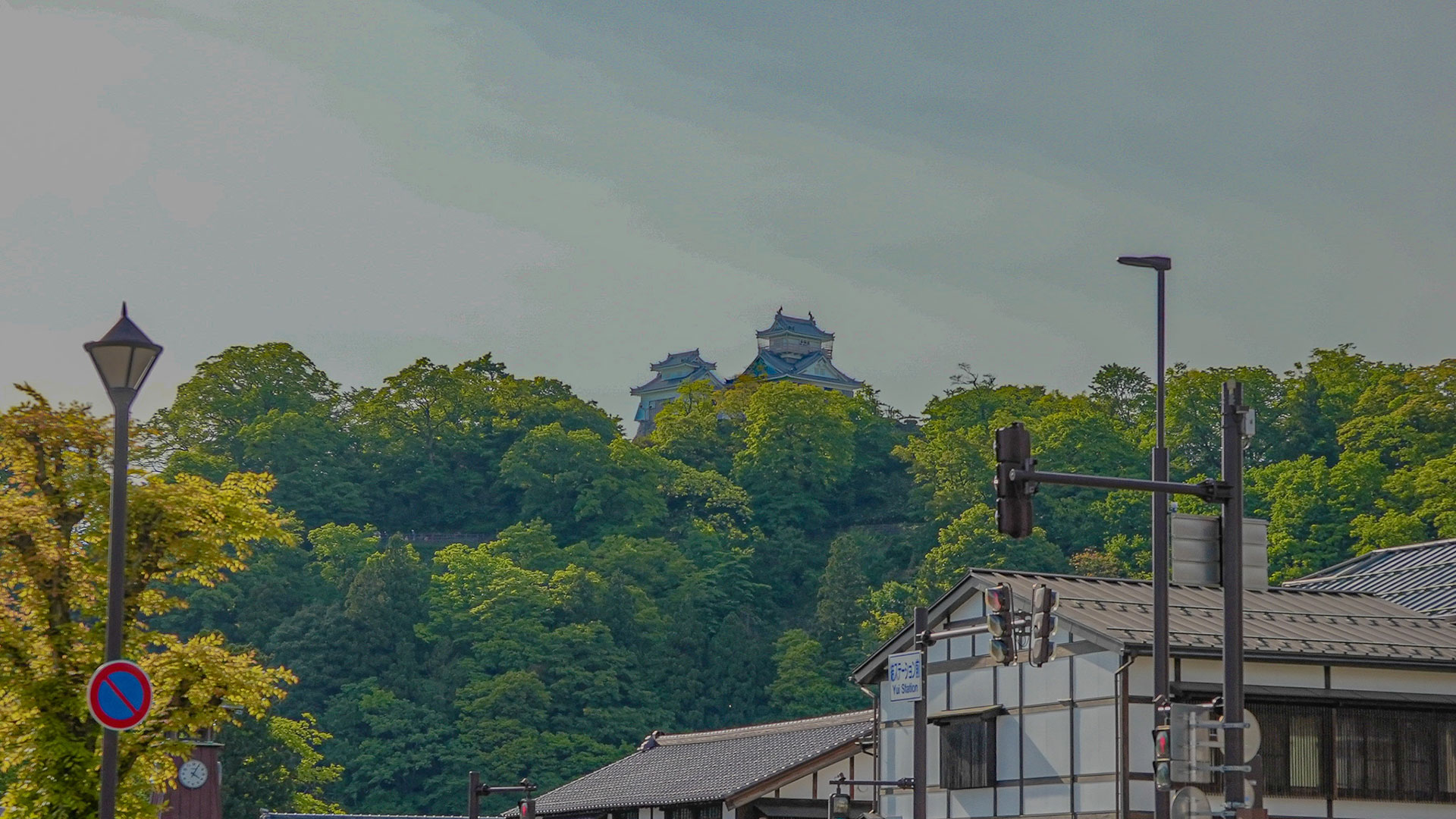 春の越前大野城2