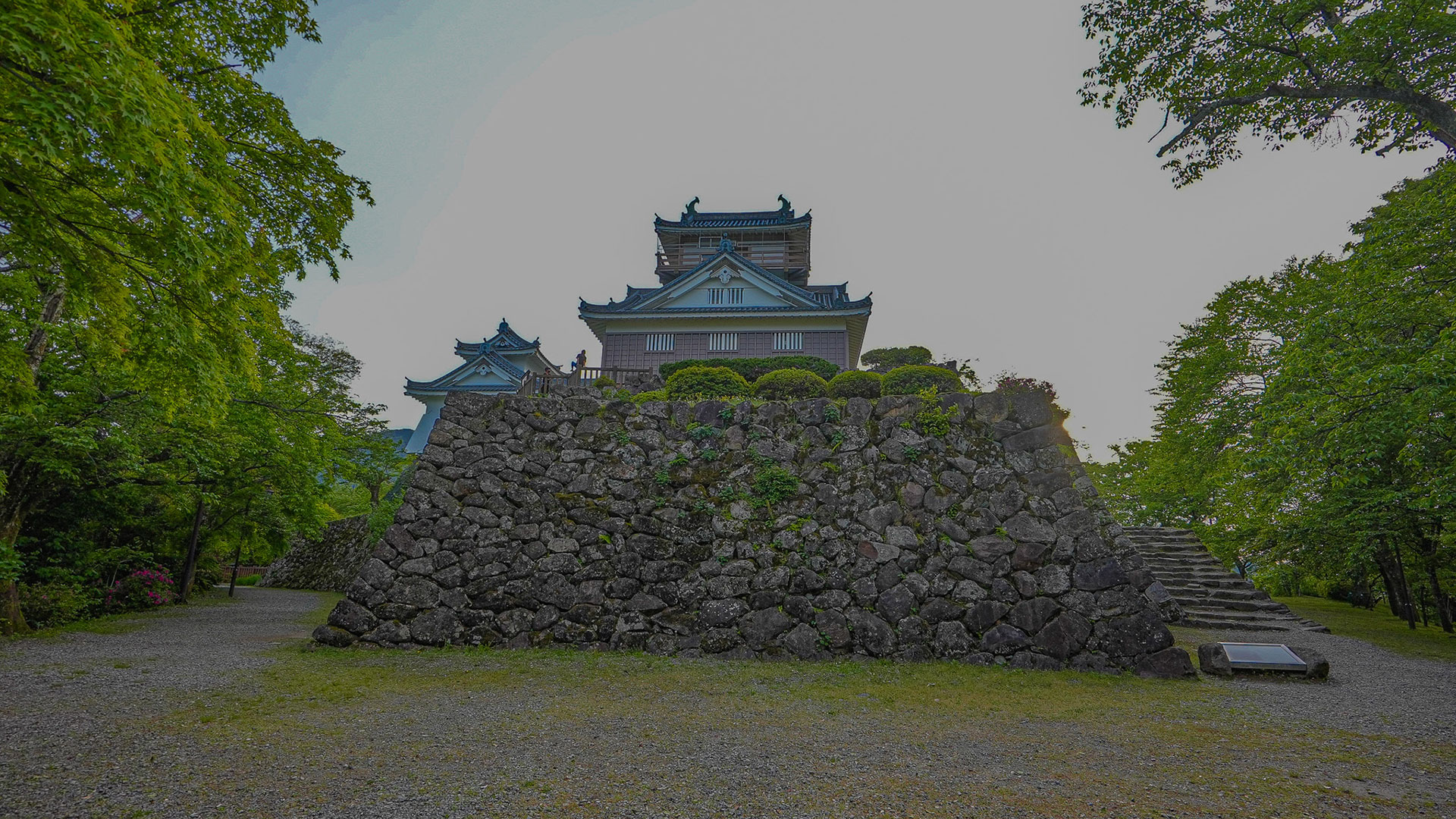 春の越前大野城3