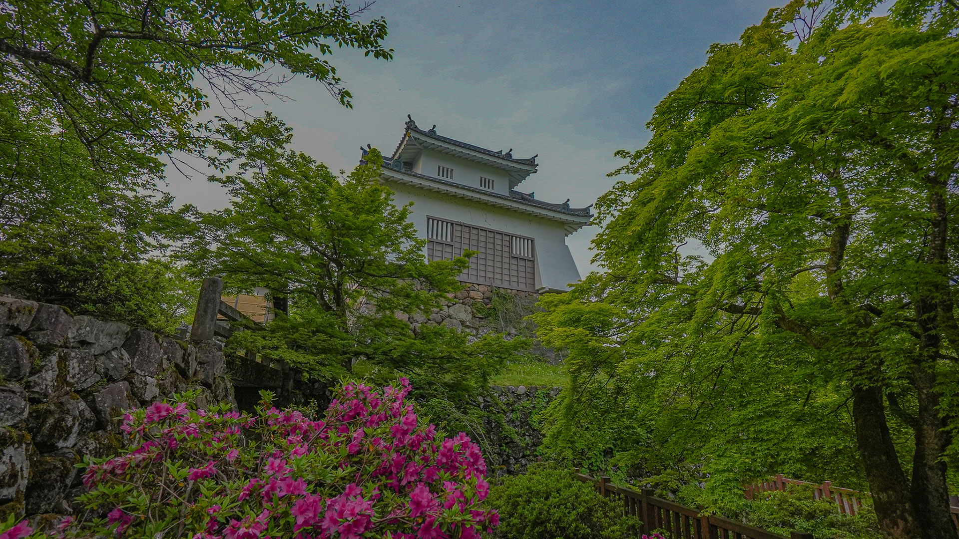 春の越前大野城5