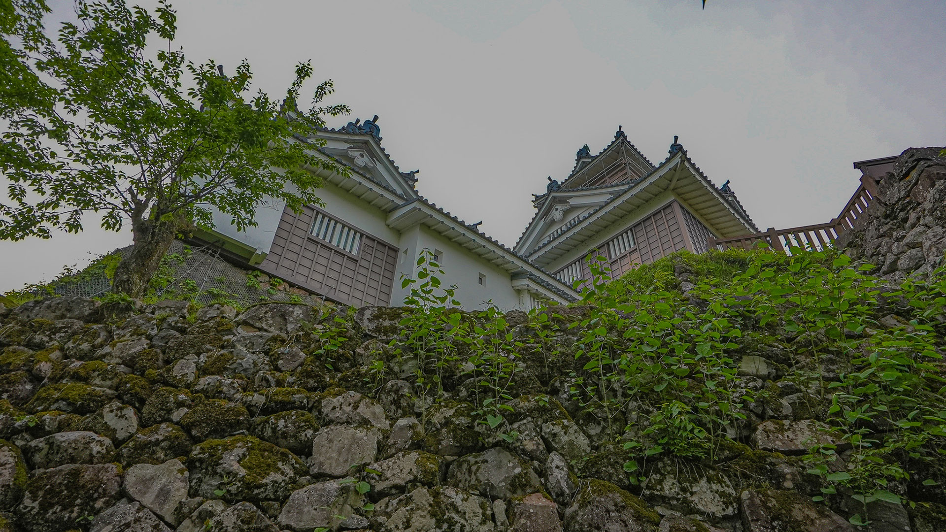 春の越前大野城6