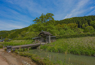 一乗谷朝倉邸の見どころ10