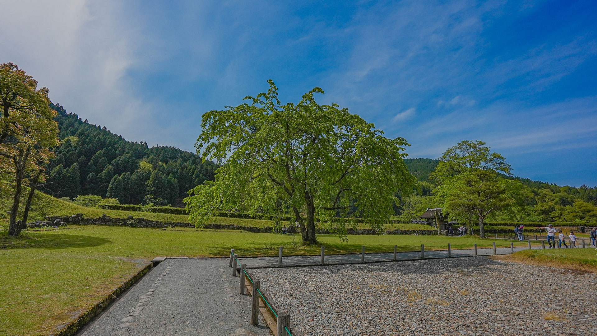 春の一乗谷朝倉邸5