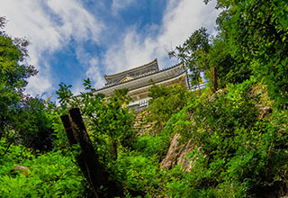 岐阜城の見どころ2