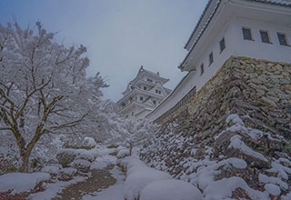 郡上八幡城の見どころ1