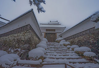郡上八幡城の見どころ3