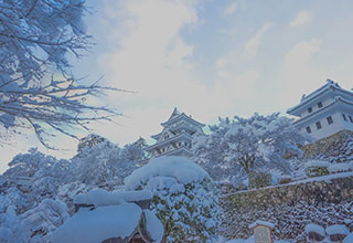 郡上八幡城の見どころ4