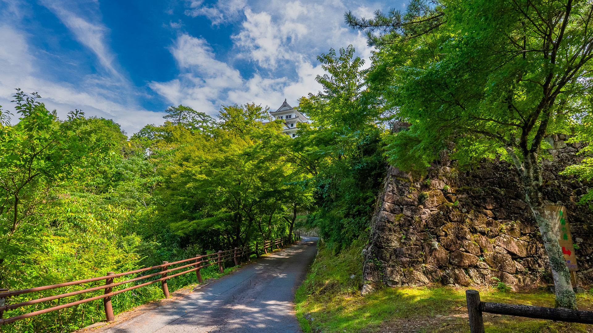 夏の郡上八幡城8