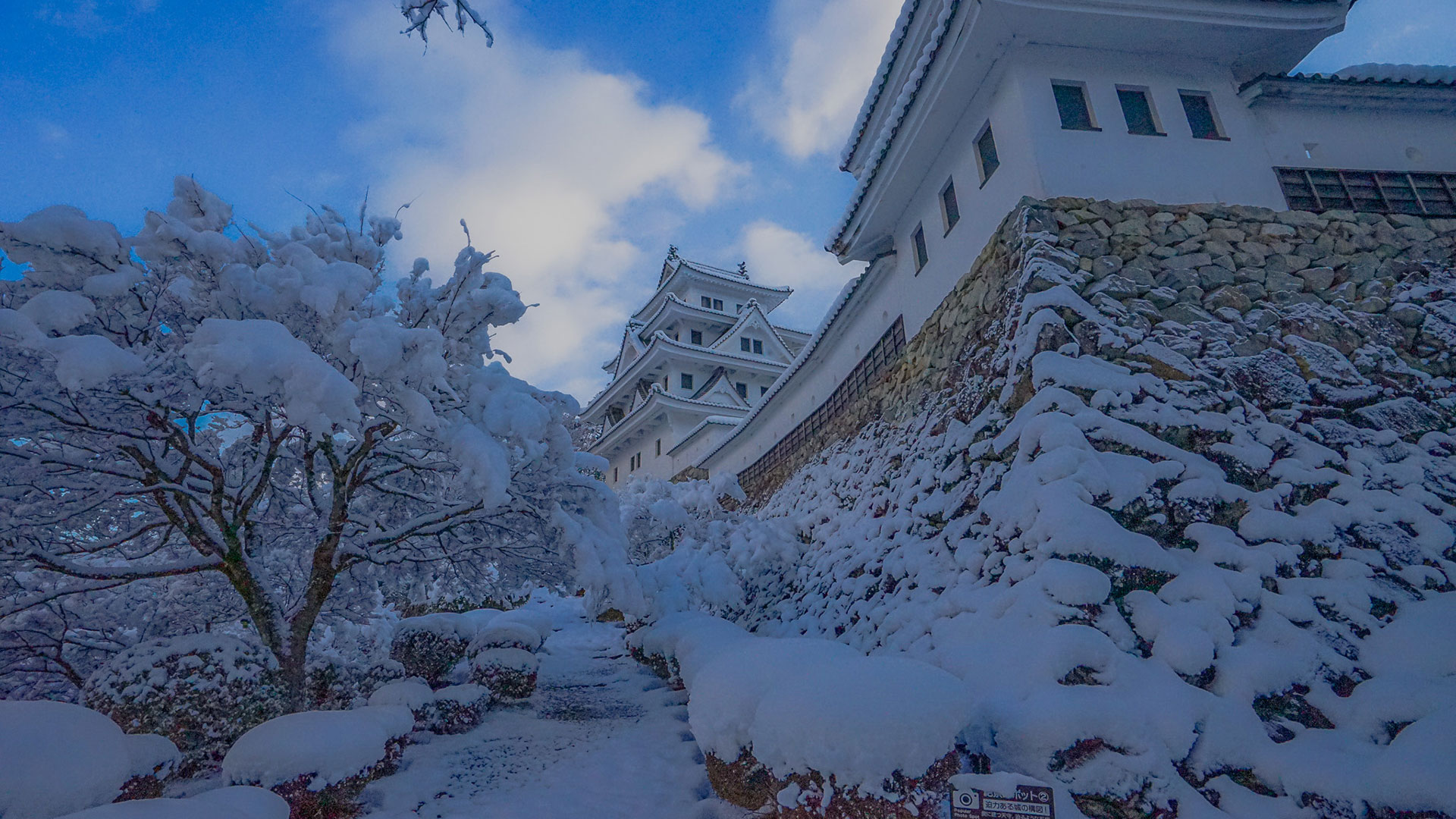 冬の郡上八幡城1