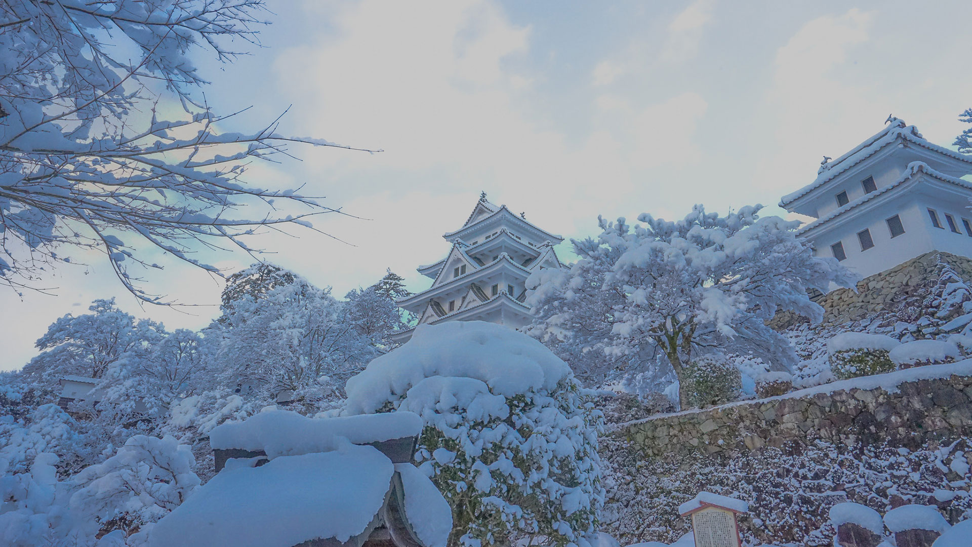 郡上八幡城｜見どころ観光｜歴史をわかりやすく解説｜城写真の