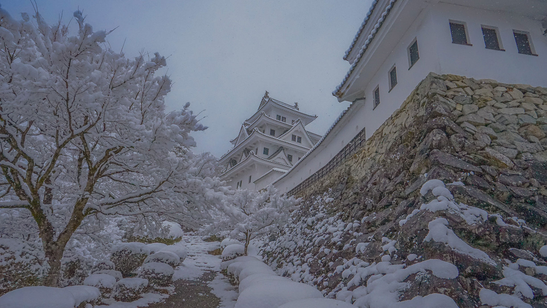 冬の郡上八幡城4