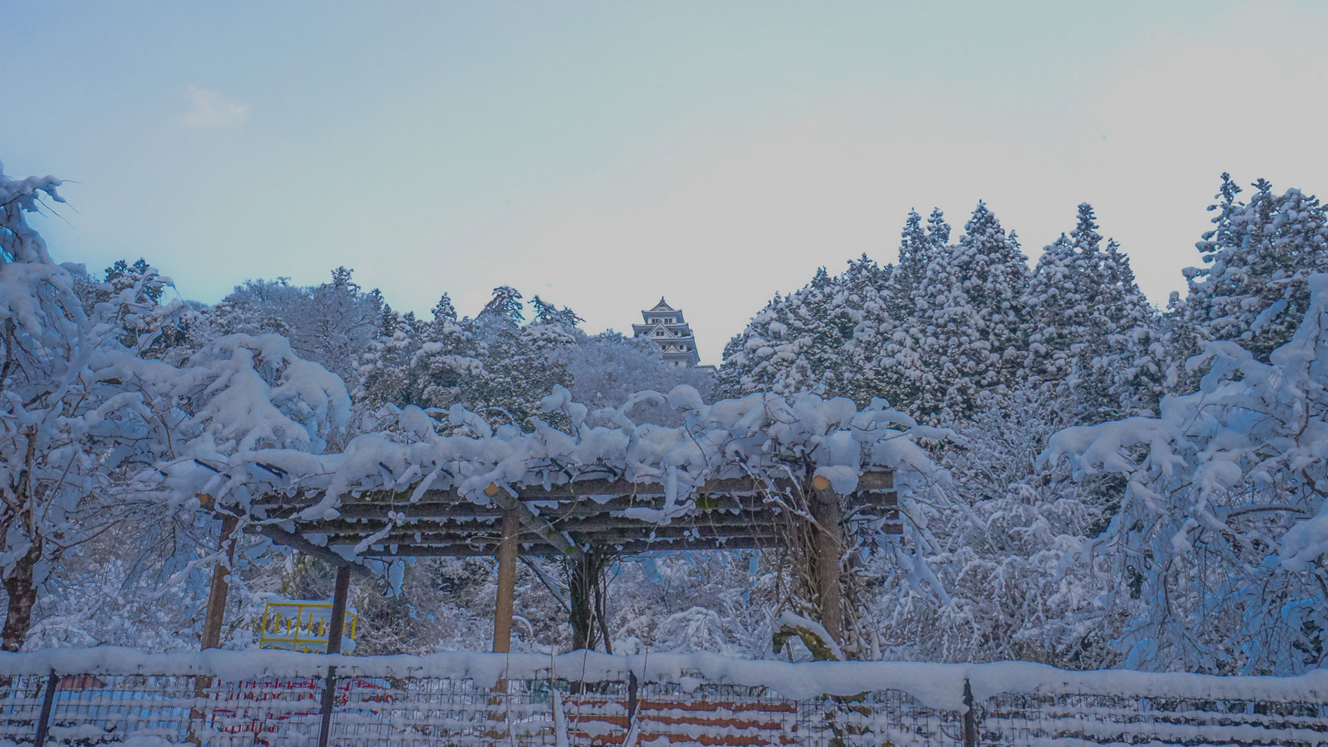 冬の郡上八幡城7