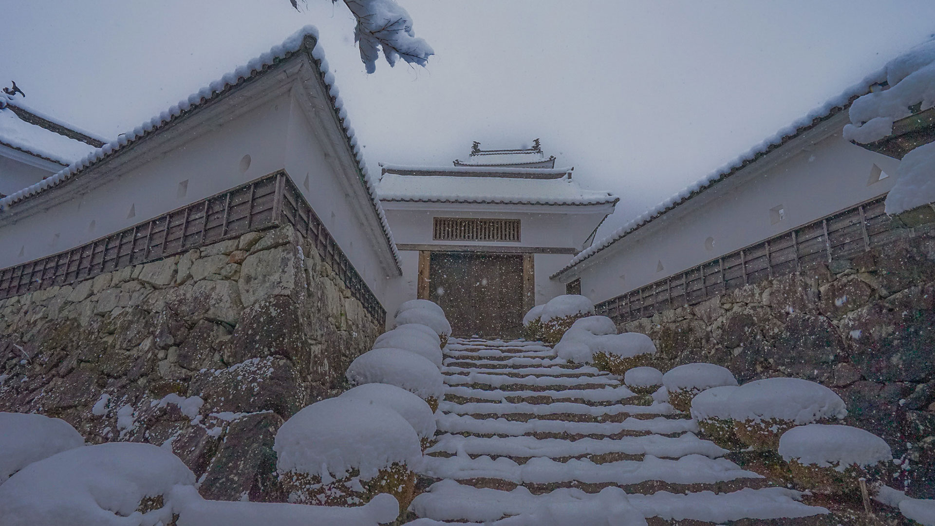 冬の郡上八幡城8