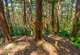 美濃金山城の見どころ11