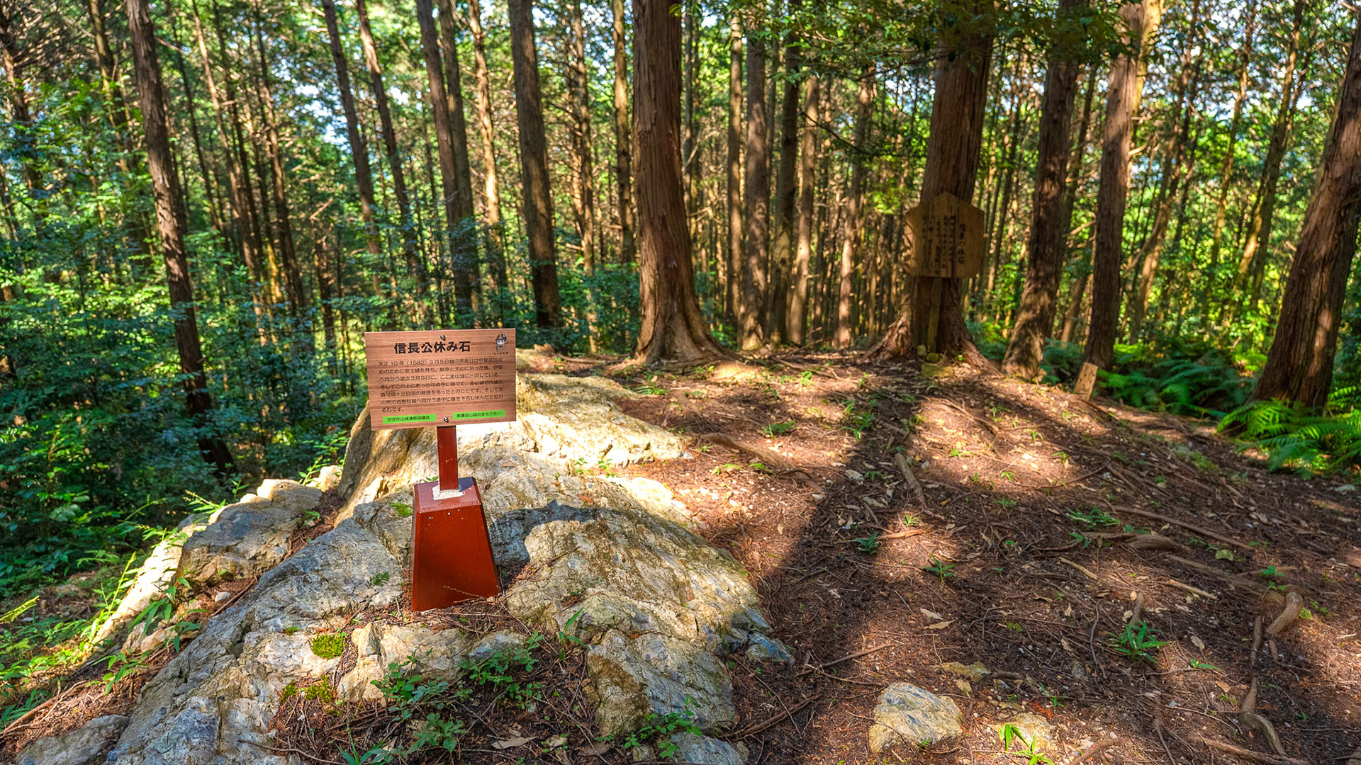夏の美濃金山城9