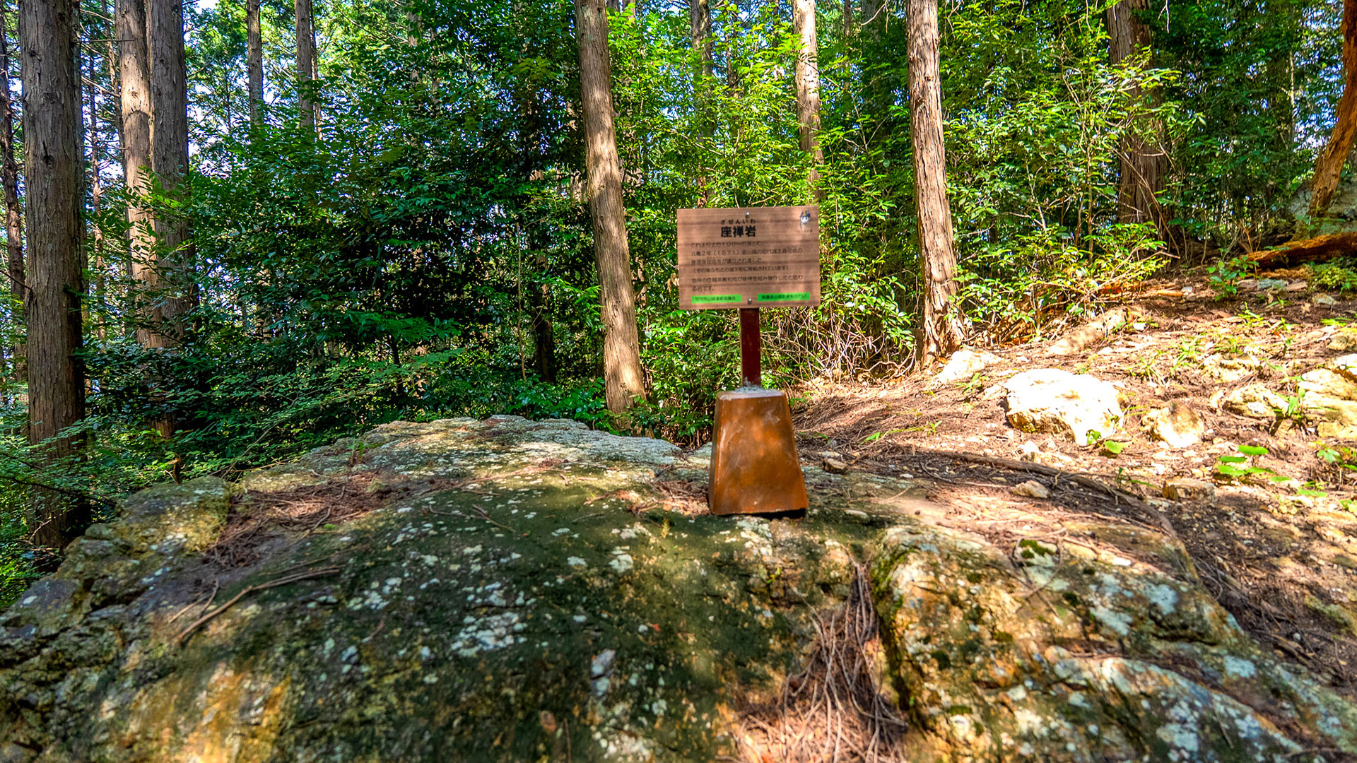 夏の美濃金山城10