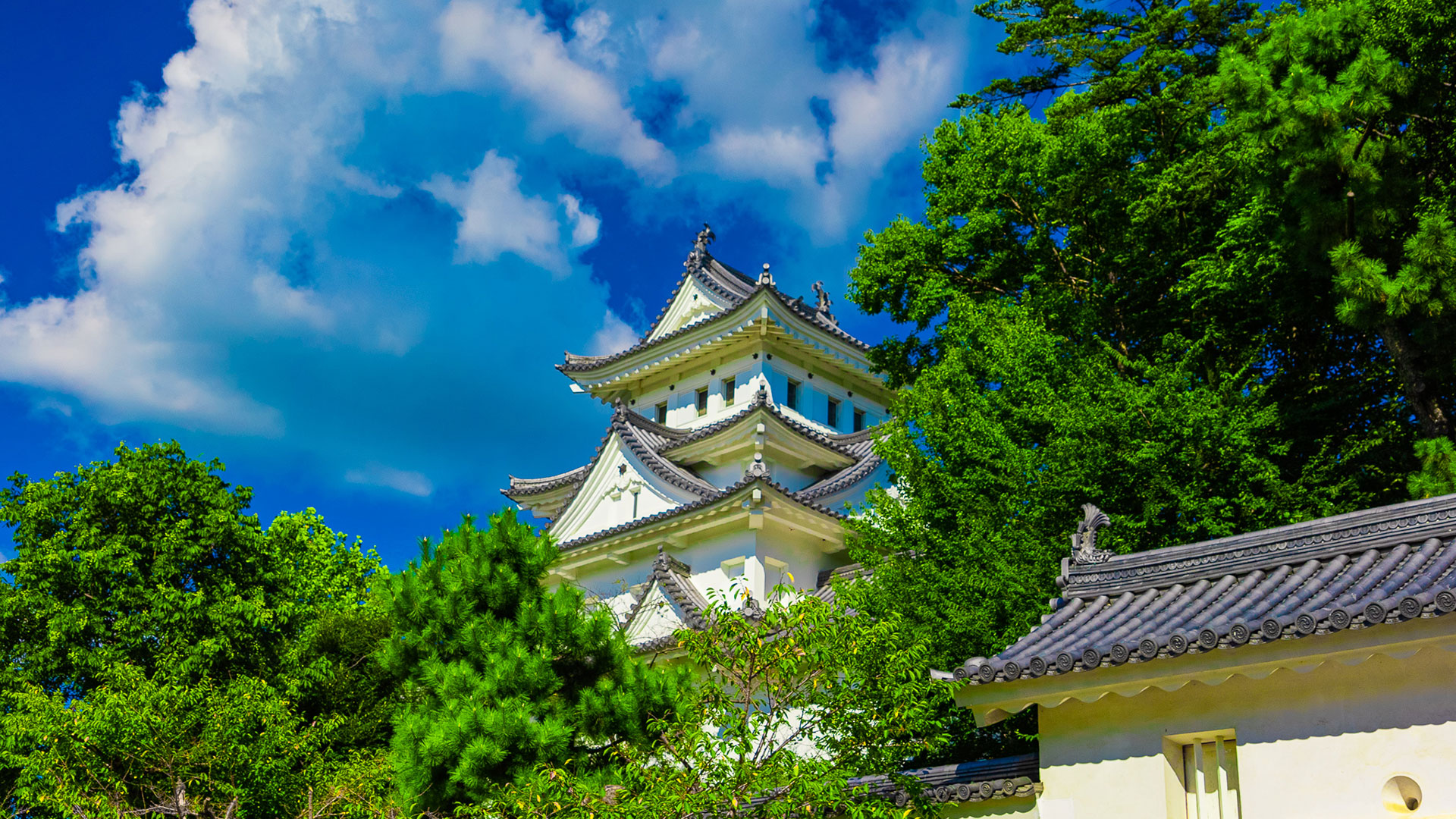 秋の大垣城3