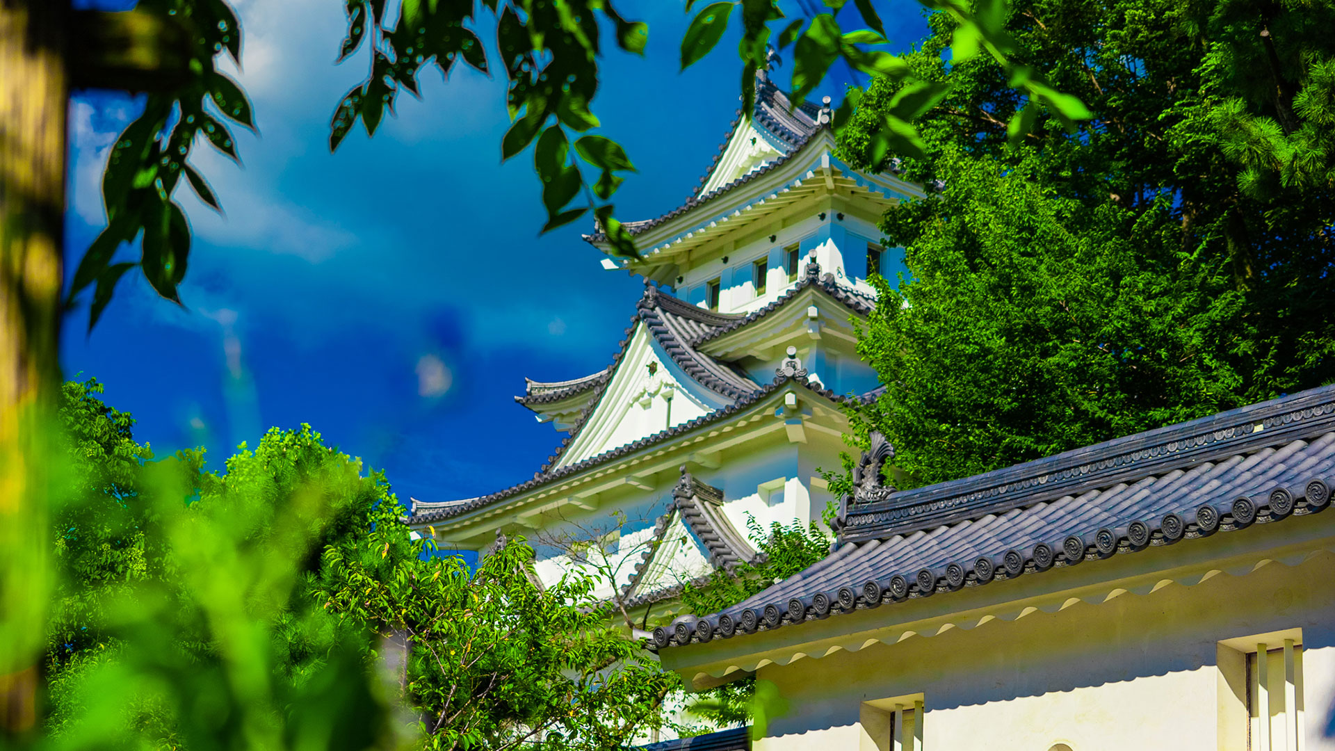 秋の大垣城4