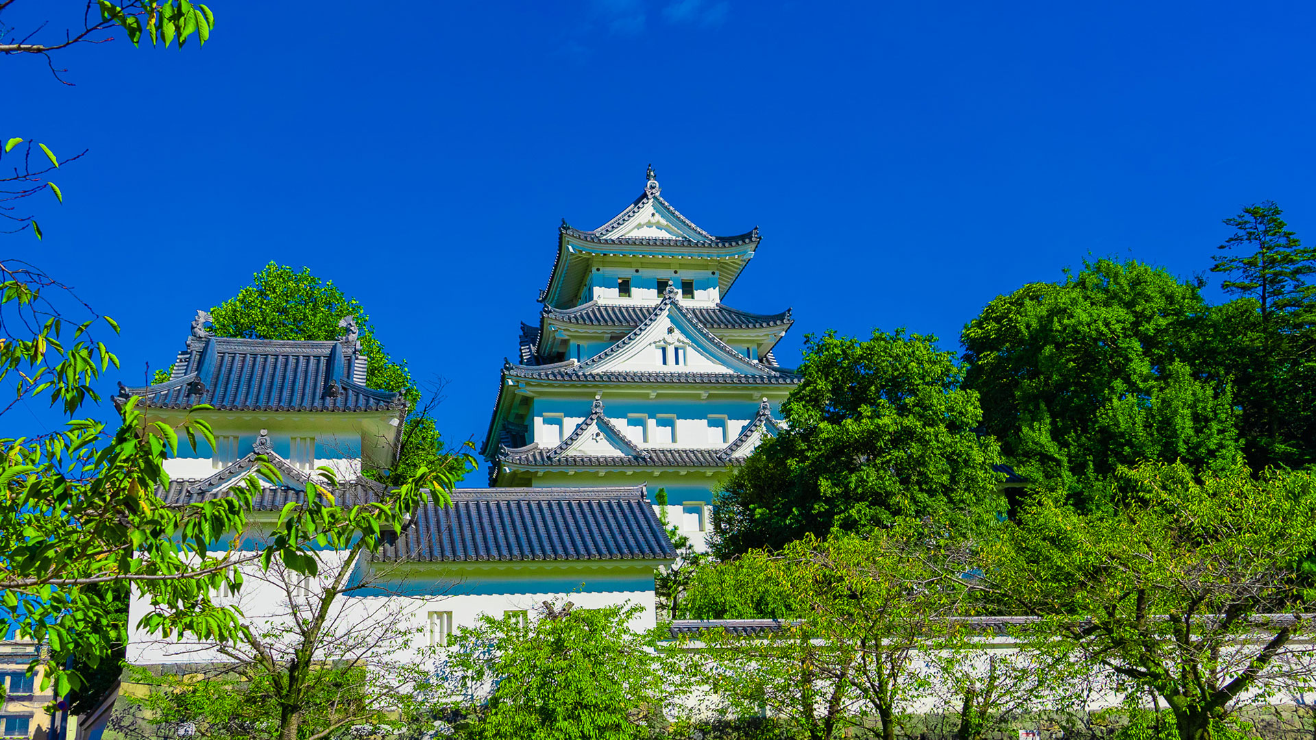 秋の大垣城5