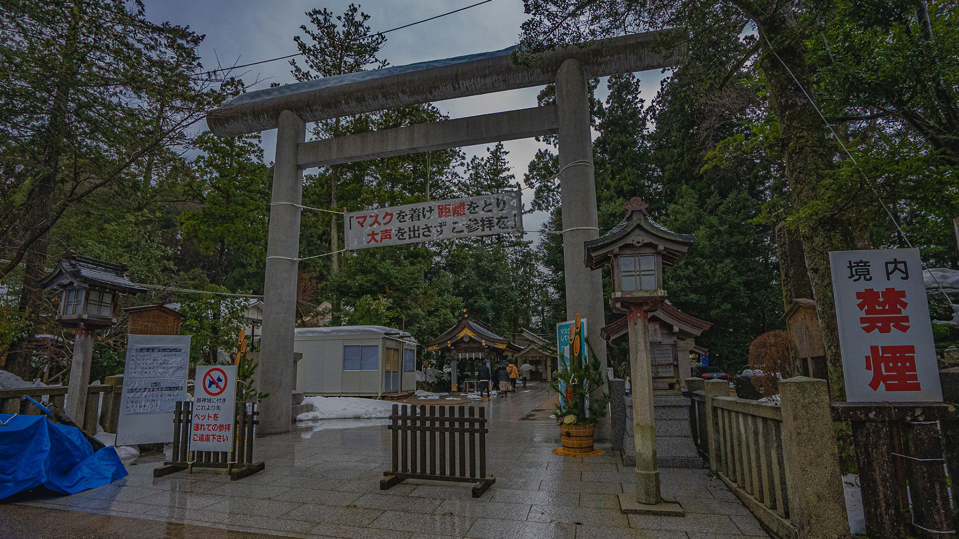冬の白山比咩神社2