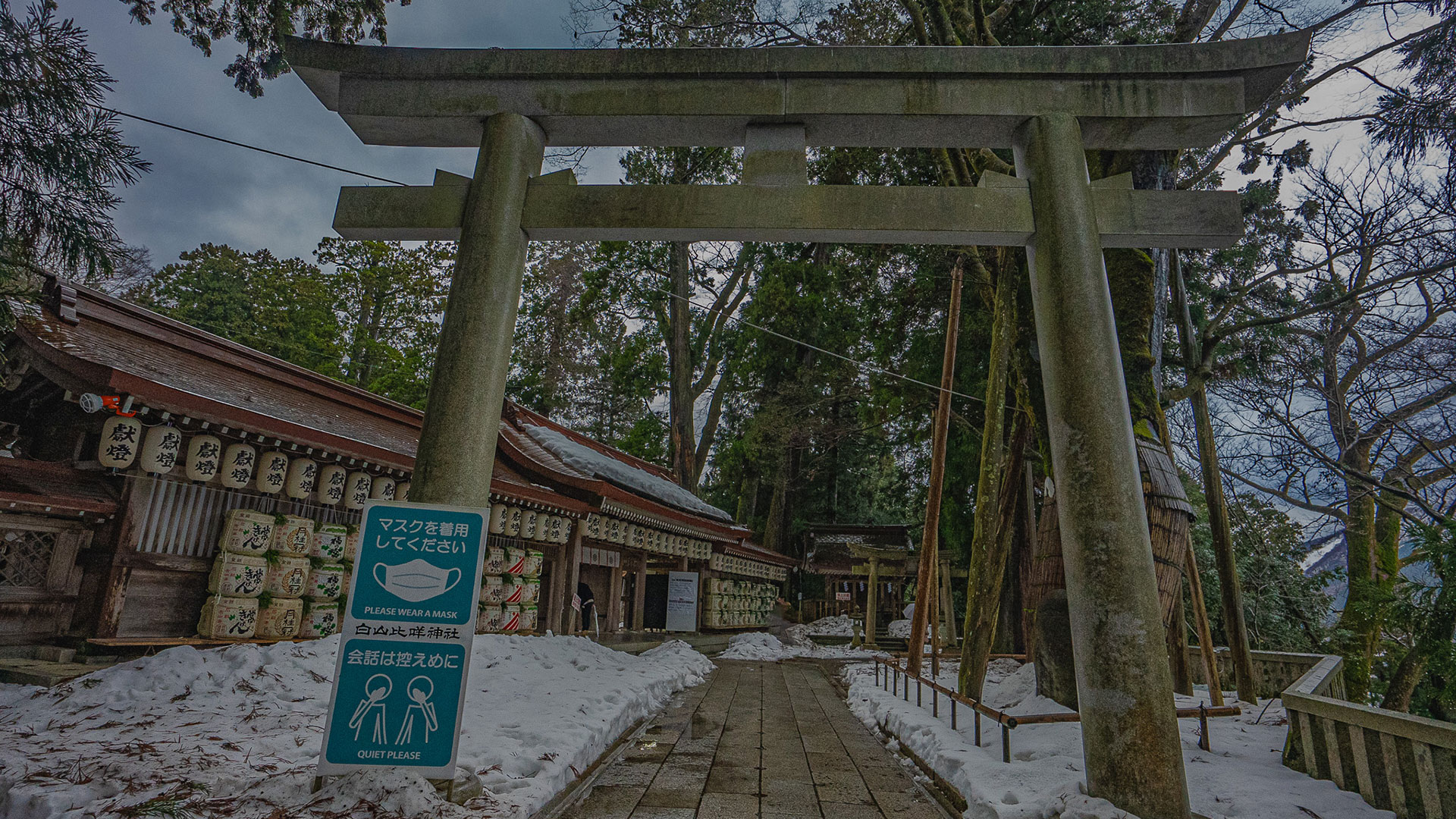 冬の白山比咩神社3
