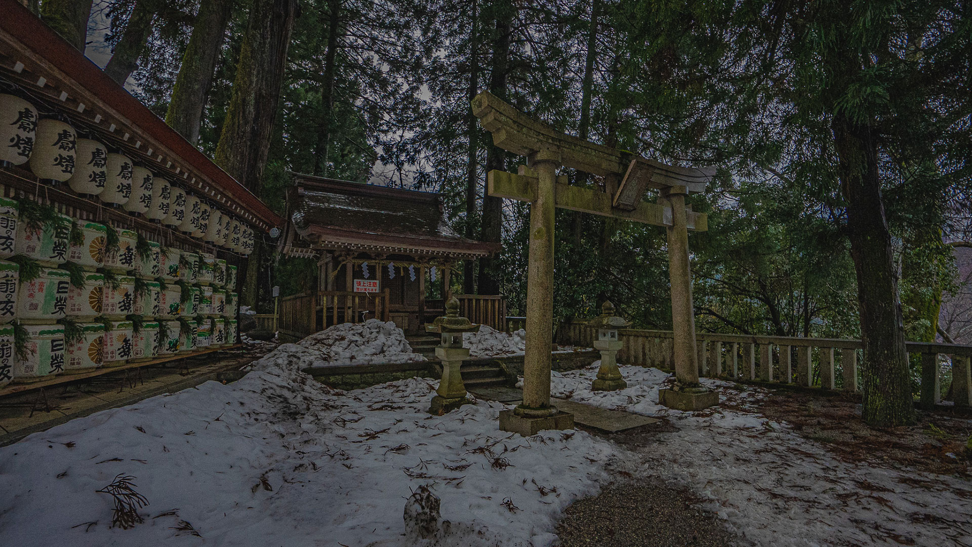 冬の白山比咩神社5