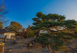 小諸城の見どころ9