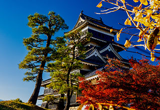 松本城の見どころ2