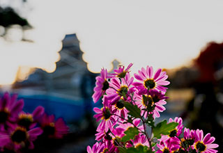 松本城の見どころ12