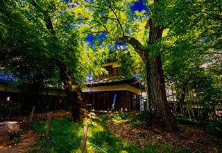 高島城の見どころ5