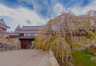 上田城の見どころ2