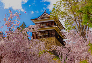 上田城の見どころ3