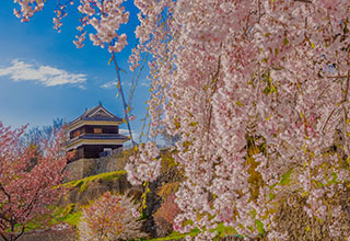 上田城の見どころ6