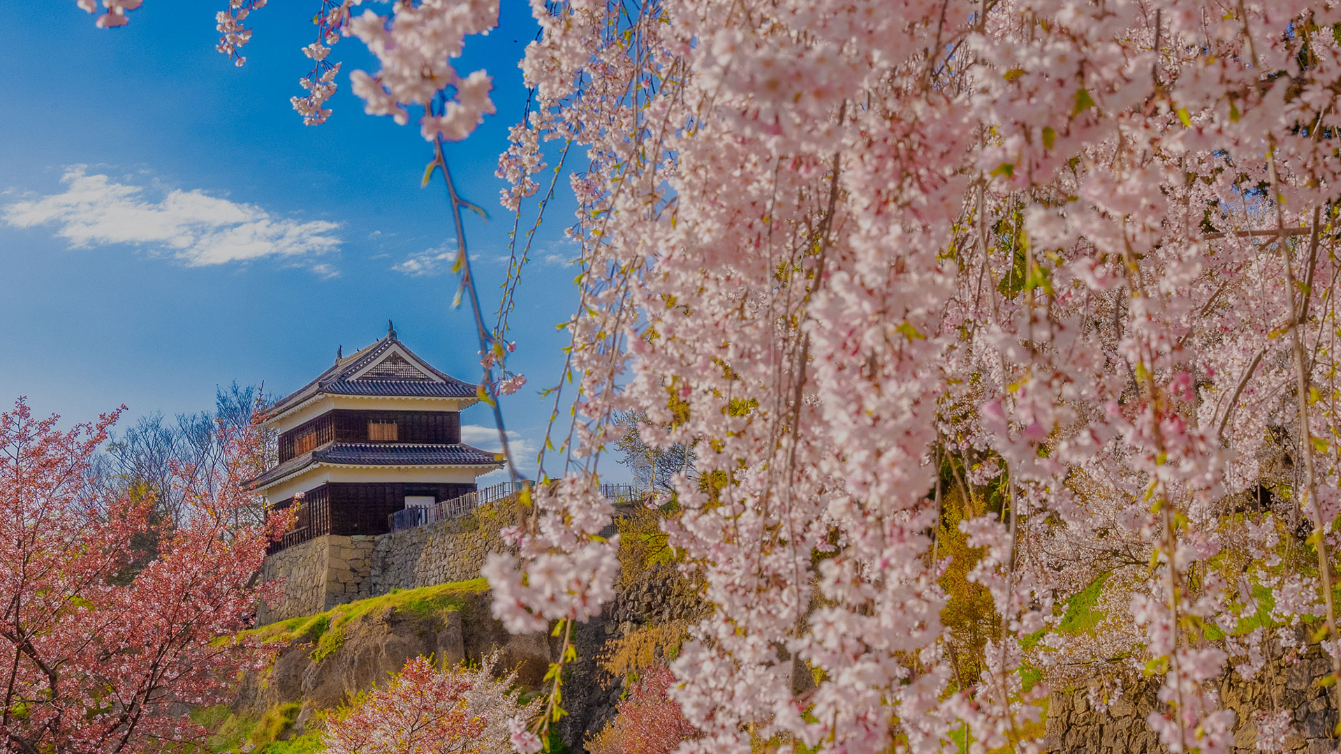 上田城|見どころ観光|歴史をわかりやすく解説|城写真の日本の旅侍 上田城|見どころ観光|歴史をわかりやすく解説|城写真の日本の旅侍