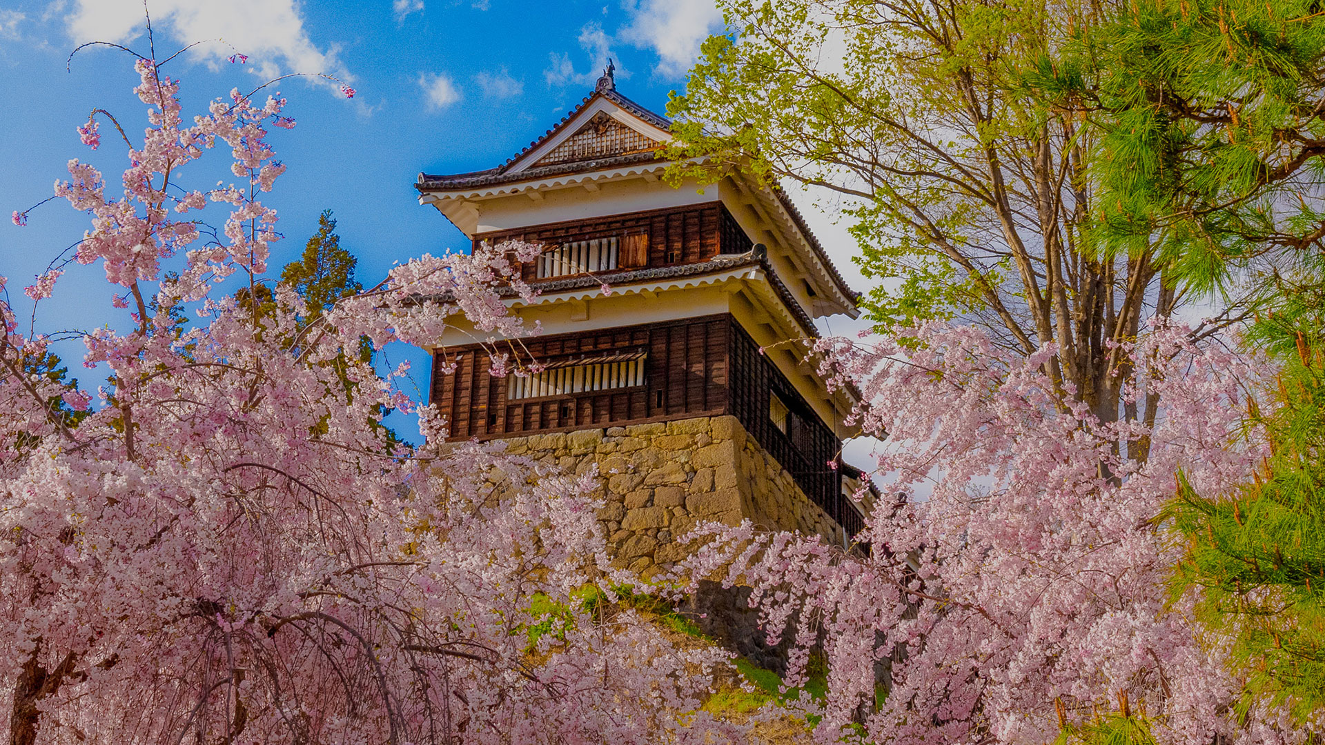 上田城｜見どころ観光｜歴史をわかりやすく解説｜城写真の日本の旅侍