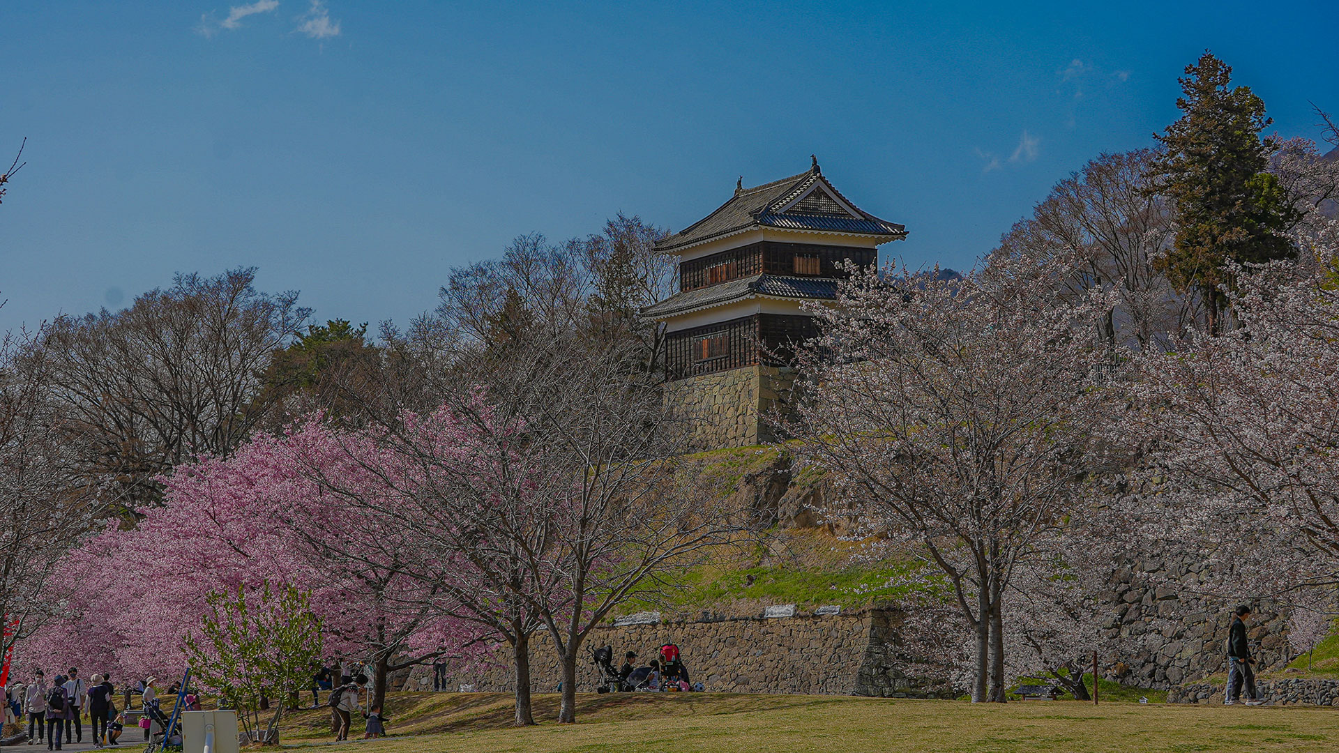 春の上田城17